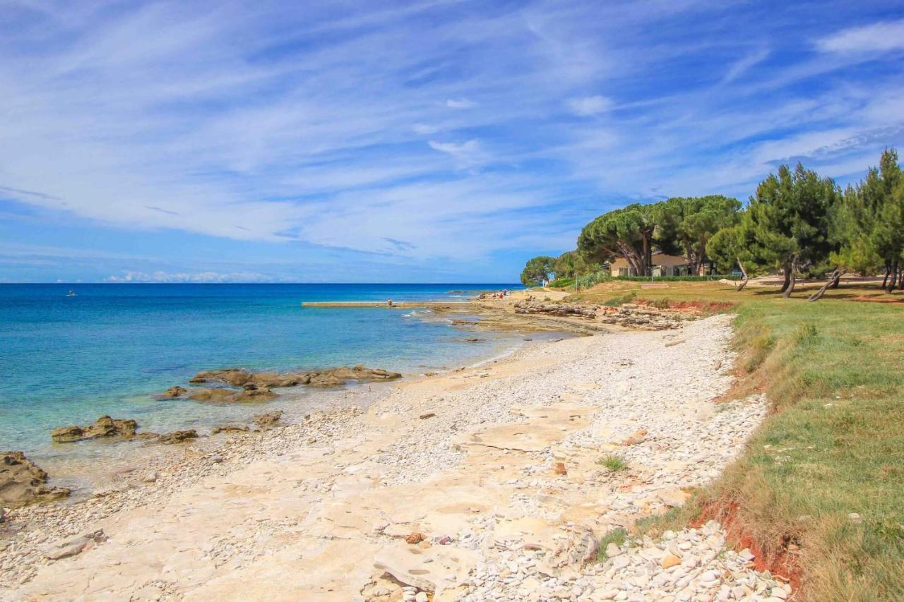 Apartments Novigrad Novigrad Istria Exteriér fotografie